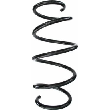 Spidan | Fahrwerksfeder | 87292