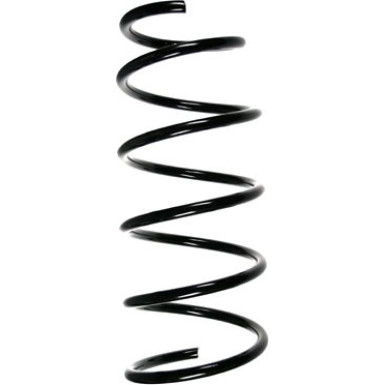 Spidan 2 x SPIDAN Fahrwerksfeder 56158