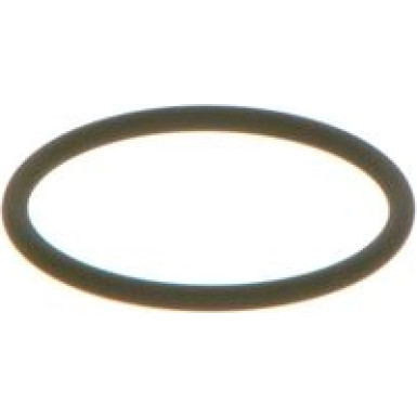 F 00V C38 002 Dichtring
