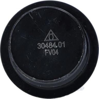 30484 01 Trag-/Führungsgelenk