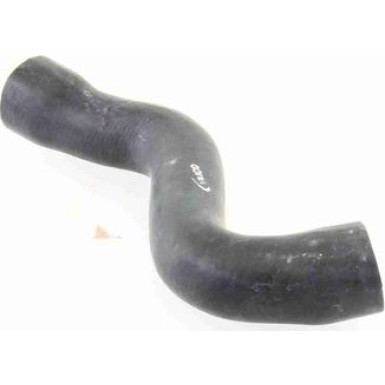 Vaico | Kühlerschlauch | V30-1624