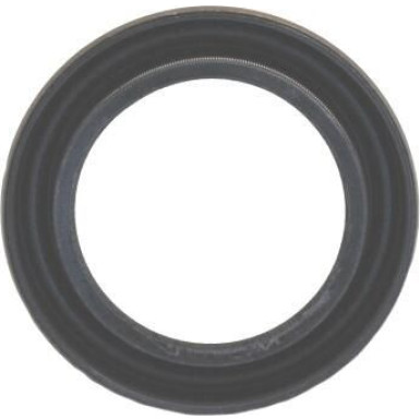 19017585B Wellendichtring, Differential