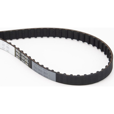 CT973 Zahnriemen