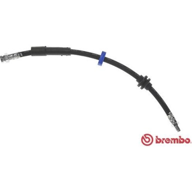 Brembo | Bremsschlauch | T 23 180