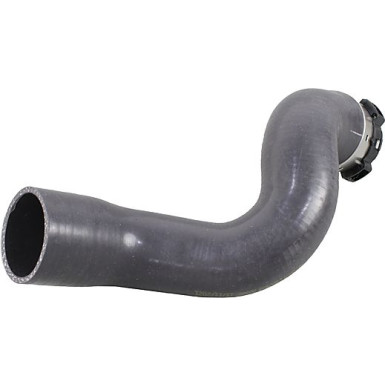 2400498 Ladeluftschlauch