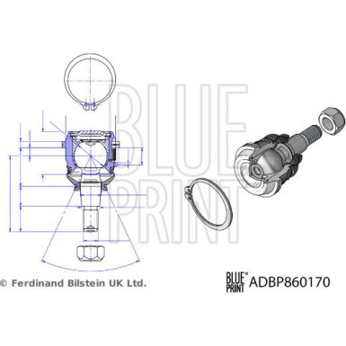 Blue Print | Trag-/Führungsgelenk | ADBP860170