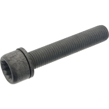 FEBI BILSTEIN 48817 Schraube, Bremssattel