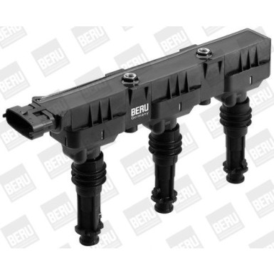 BorgWarner (BERU) | Zündspule | ZS359