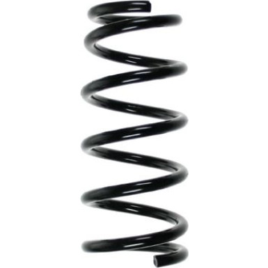 Spidan | Fahrwerksfeder | 55478