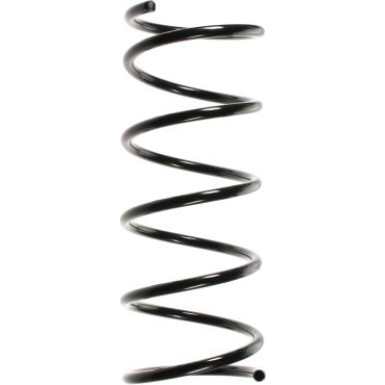 Spidan | Fahrwerksfeder | 49325