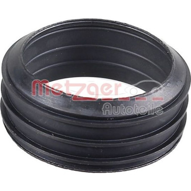 2430161 Dichtung, Ansaugkrümmergehäuse 2430161 Dichtung, Ansaugkrümmergehäuse