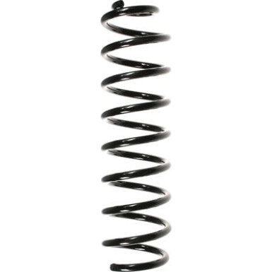 Spidan | Fahrwerksfeder | 56173