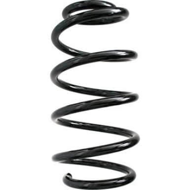 Spidan | Fahrwerksfeder | 86856