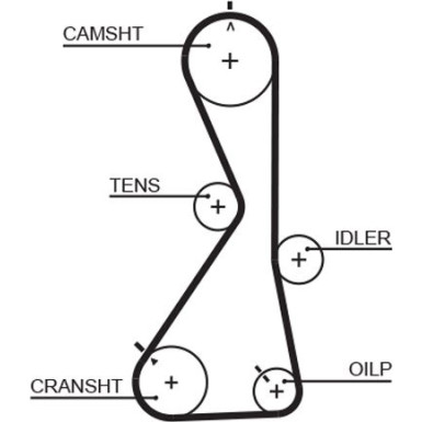 5481XS Zahnriemen PowerGrip™