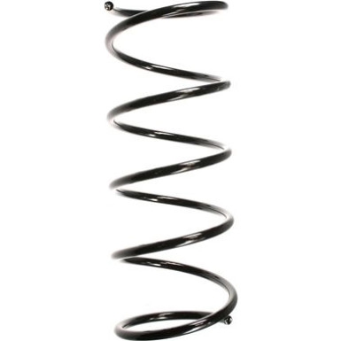 Spidan | Fahrwerksfeder | 49270