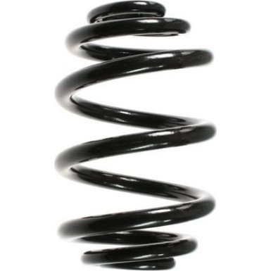 55123 Fahrwerksfeder