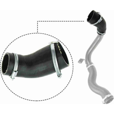 Vaico | Ladeluftschlauch | V25-1029