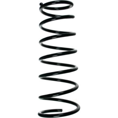 Spidan | Fahrwerksfeder | 49574