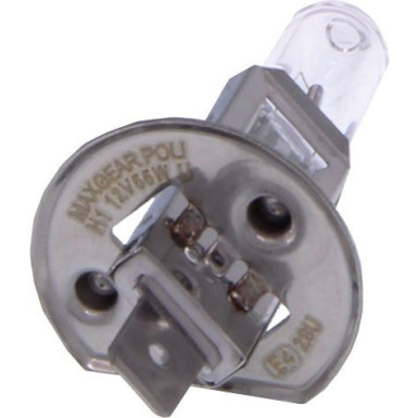 Maxgear | Glühlampe | 78-0005