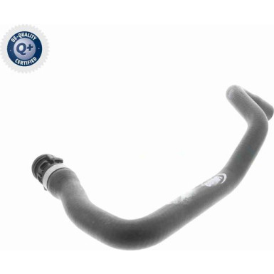 Vaico | Kühlerschlauch | V30-3148