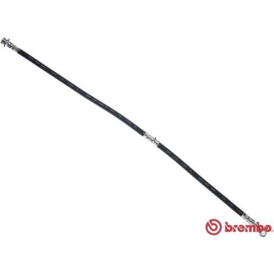 Brembo | Bremsschlauch | T 56 179