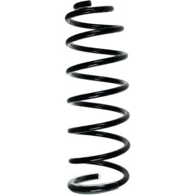 Spidan | Fahrwerksfeder | 55244