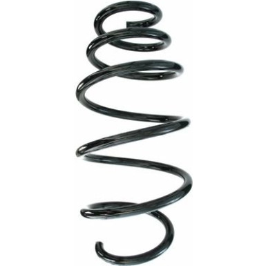 Spidan | Fahrwerksfeder | 87685