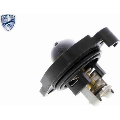 V15-99-2076 Thermostatgehäuse EXPERT KITS +