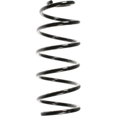 Spidan | Fahrwerksfeder | 55064