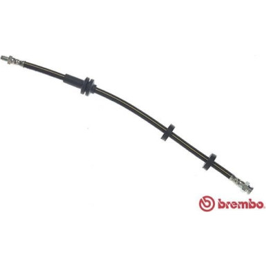 Brembo | Bremsschlauch | T 23 137