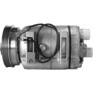 Mahle | Kompressor, Klimaanlage | ACP 53 000S