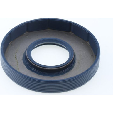 12010863B Dichtring 12010863B Dichtring