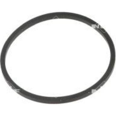 725308 Thermostat, Kühlmittel EASY FIT