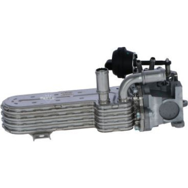 48360 Kühler, Abgasrückführung