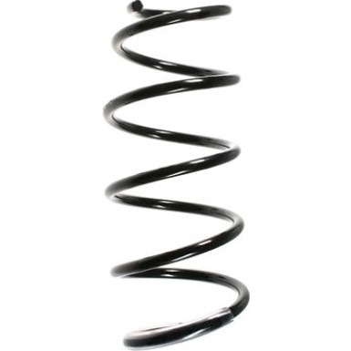 Spidan | Fahrwerksfeder | 55986