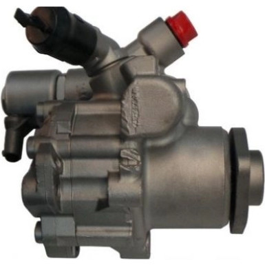 Spidan | Hydraulikpumpe, Lenkung | 54953