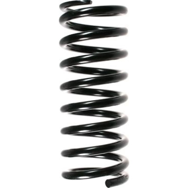 Spidan | Fahrwerksfeder | 48171