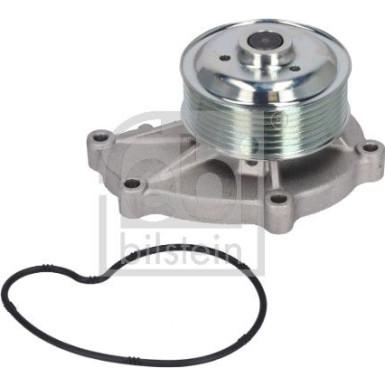 196491 Wasserpumpe, Motorkühlung