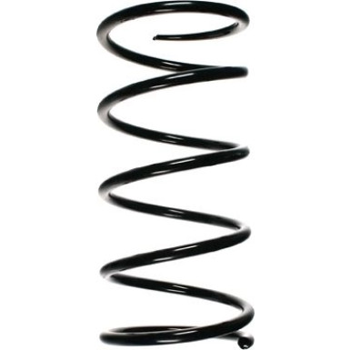 Spidan | Fahrwerksfeder | 55783