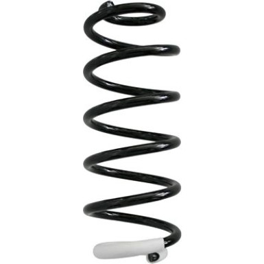 Spidan | Fahrwerksfeder | 87367