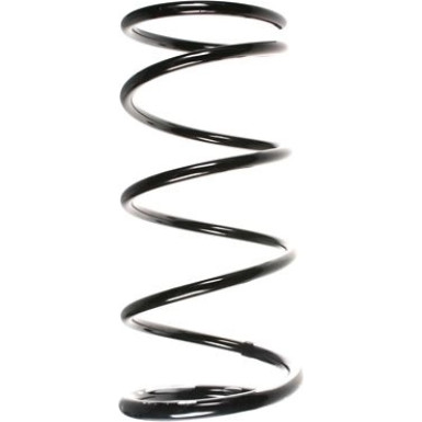 Spidan | Fahrwerksfeder | 55877