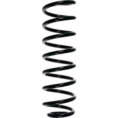 Spidan | Fahrwerksfeder | 55735