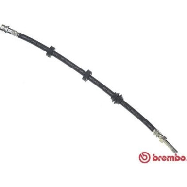 Brembo | Bremsschlauch | T 24 038