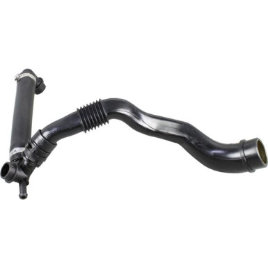 2380116 Schlauch, Zylinderkopfhaubenentlüftung