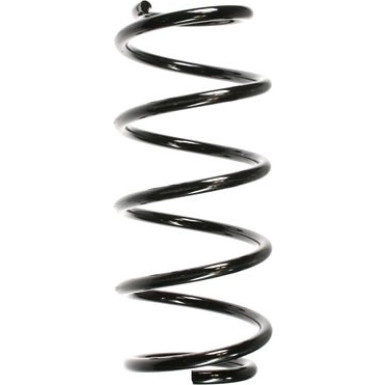 Spidan | Fahrwerksfeder | 55980