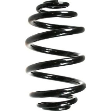 Spidan | Fahrwerksfeder | 49797