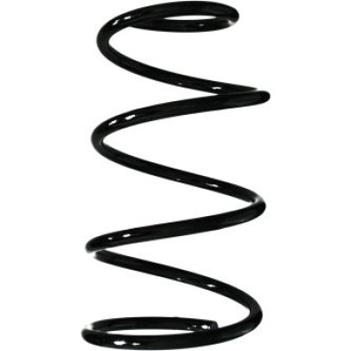 Spidan | Fahrwerksfeder | 55617