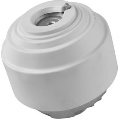 Tedgum | Lagerung, Motor | TED73805