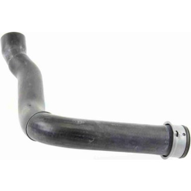 Vaico | Kühlerschlauch | V30-1659 Vaico | Kühlerschlauch | V30-1659