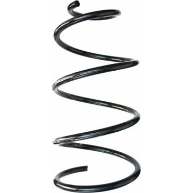 Spidan | Fahrwerksfeder | 49187